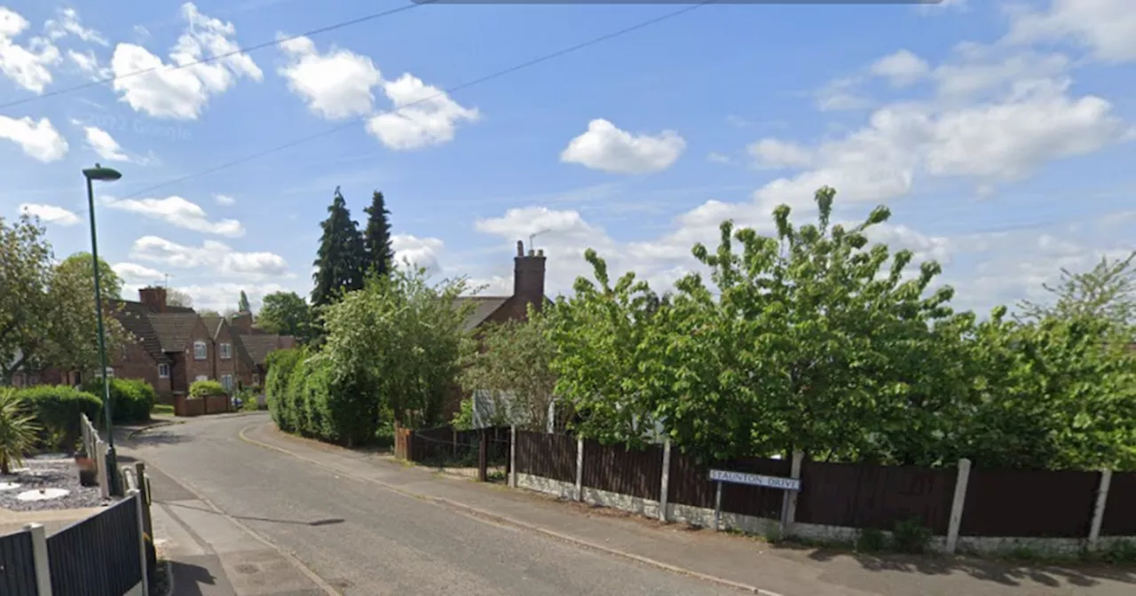 Cannabis Farm Bust in Nottingham Leads to Arrest