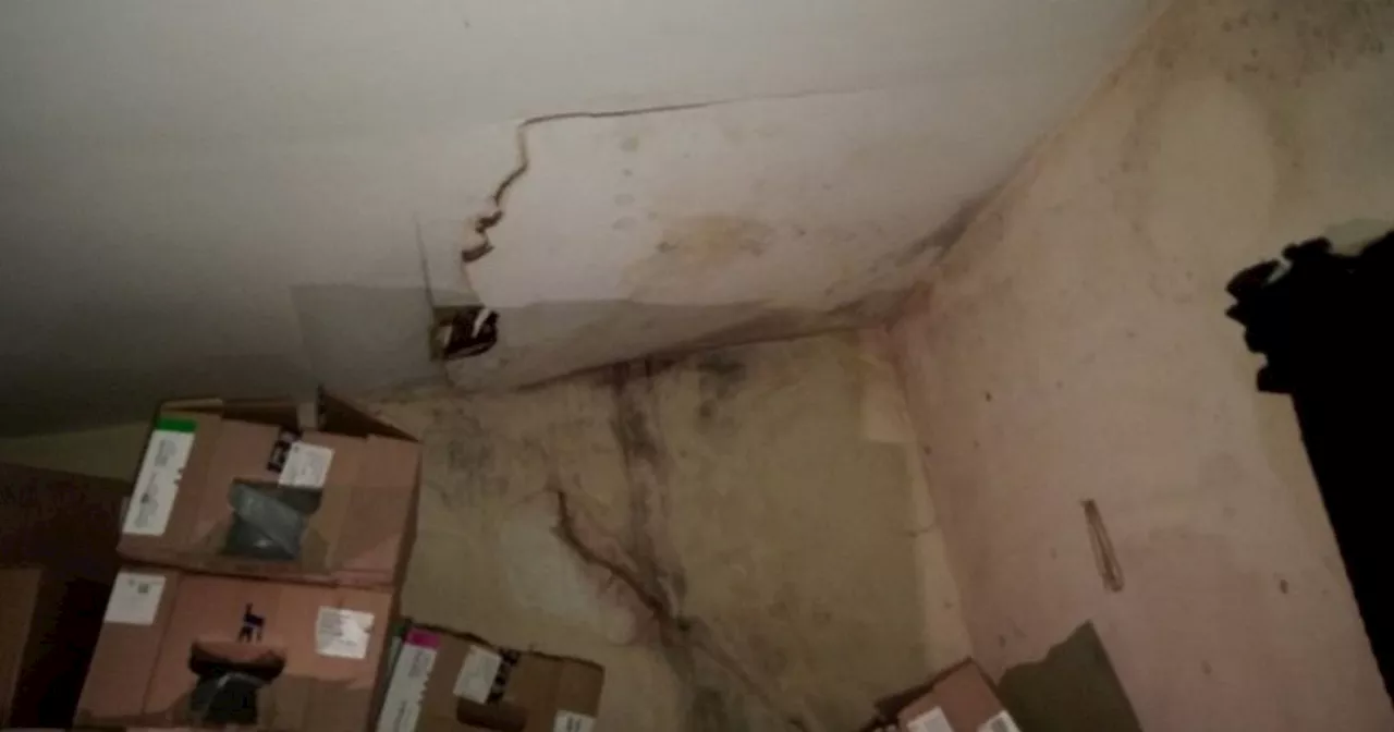 Landlord Fined Nearly £20,000 for Rat-Infested, Uninhabitable Property