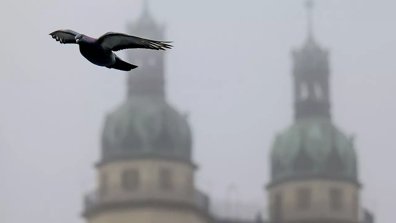 Sachsen-Anhalt: Milder Wochenbeginn - dann wird es eisig