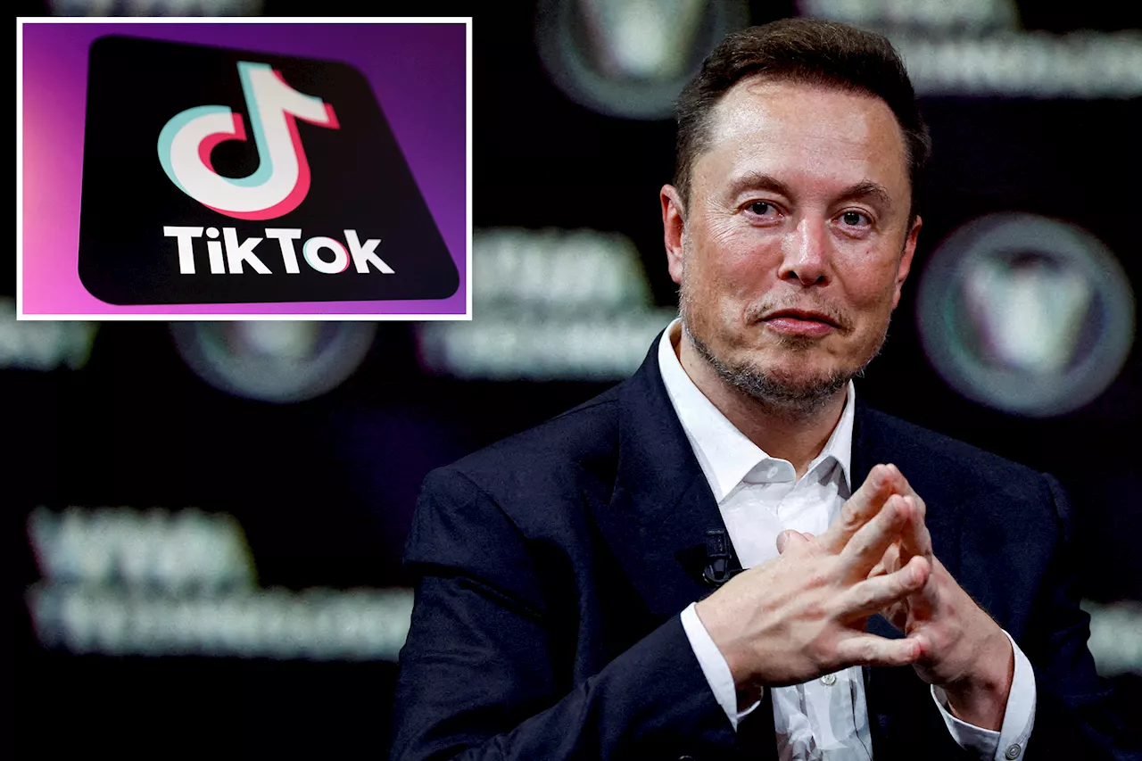 Elon Musk has not bid on TikTok and has no plans to, he says in interview