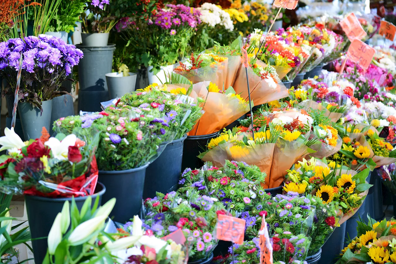 Long Island flower service shuts down after thousands complain about refund shenanigans