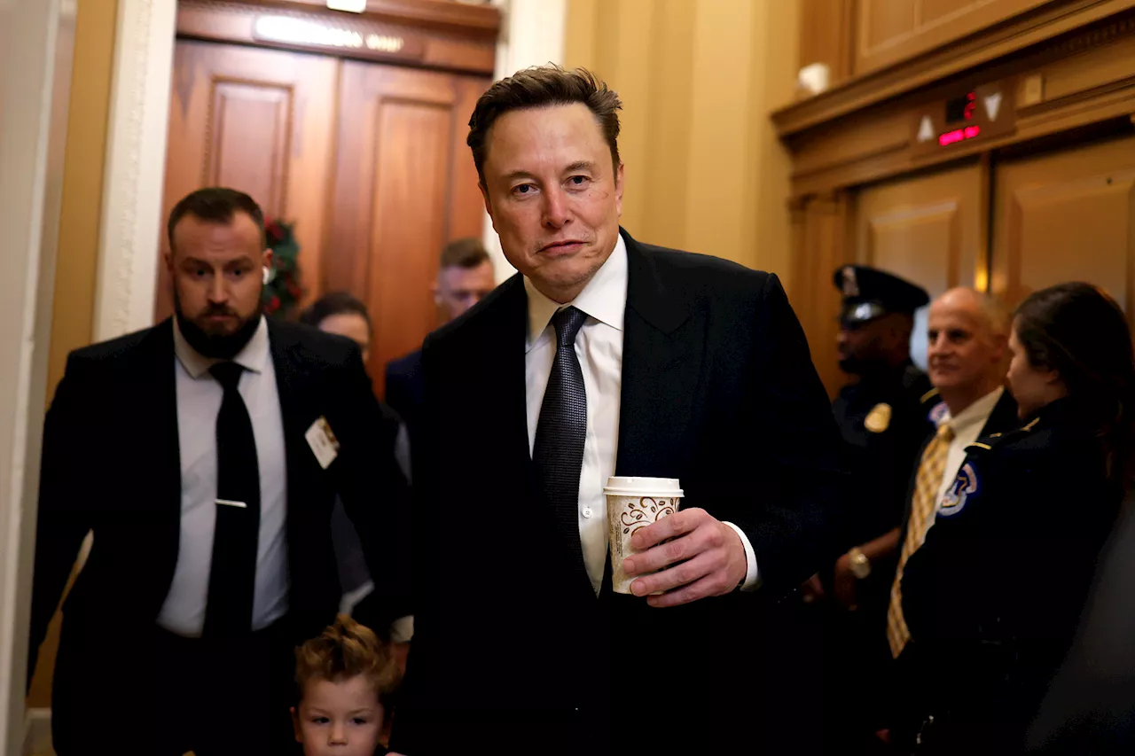 Trump, Elon Musk's partnership is proving to be a union of geniuses determined to get huge things done for US