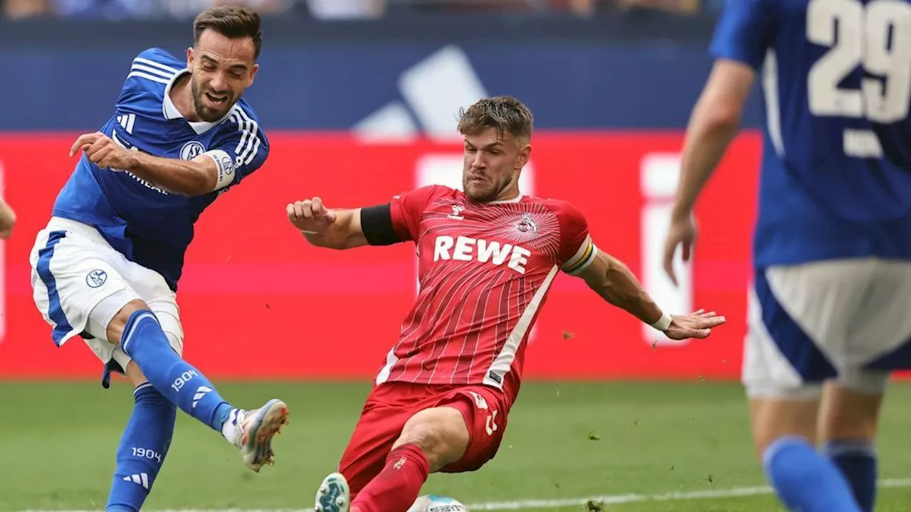 1. FC Köln vs. FC Schalke 04: 2. Bundesliga live im Free-TV, Livestream und im Liveticker