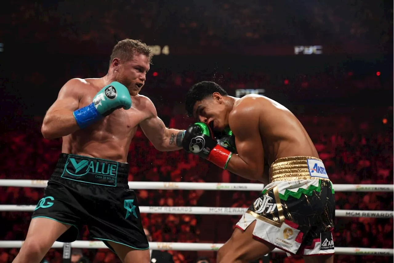 Canelo Alvarez, William Scull set super middleweight bout for May