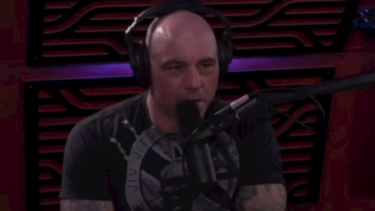 Joe Rogan Fears Michael Franzese's Appearance on His Podcast