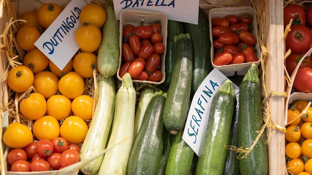 Bio-Nachfrage übertrifft Anbaufläche in Deutschland