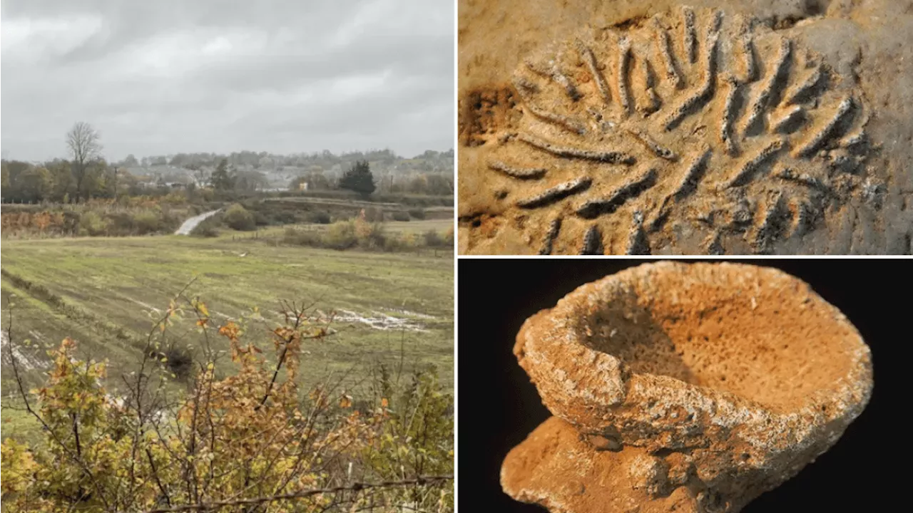 Faringdon Fossils: Global Significance at Risk as UK Quarry Faces Development