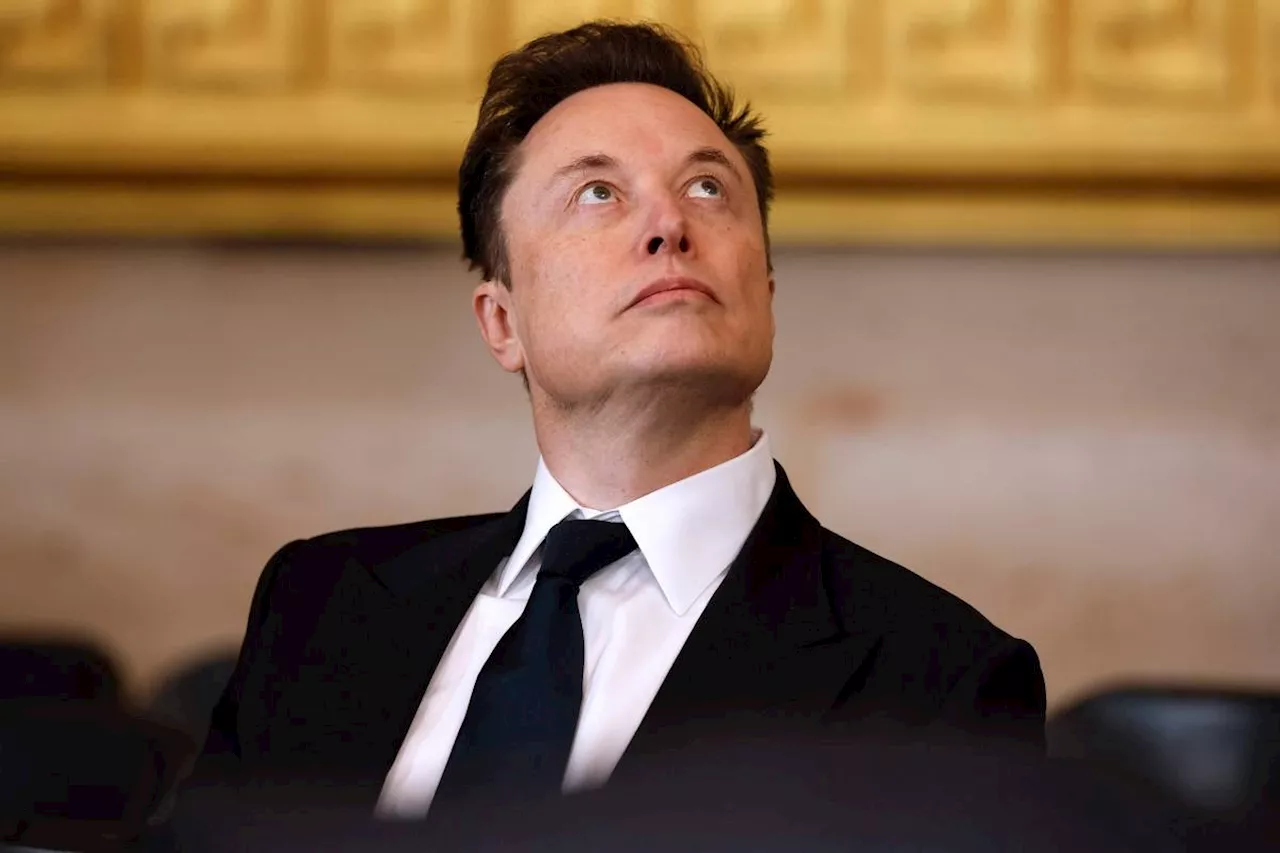 Musk risks putting European Union buyers off Tesla