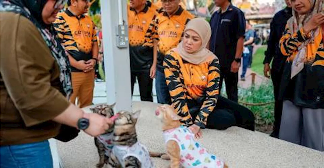 Shah Alam Cat Park Officially Opened by Tengku Permaisuri Selangor