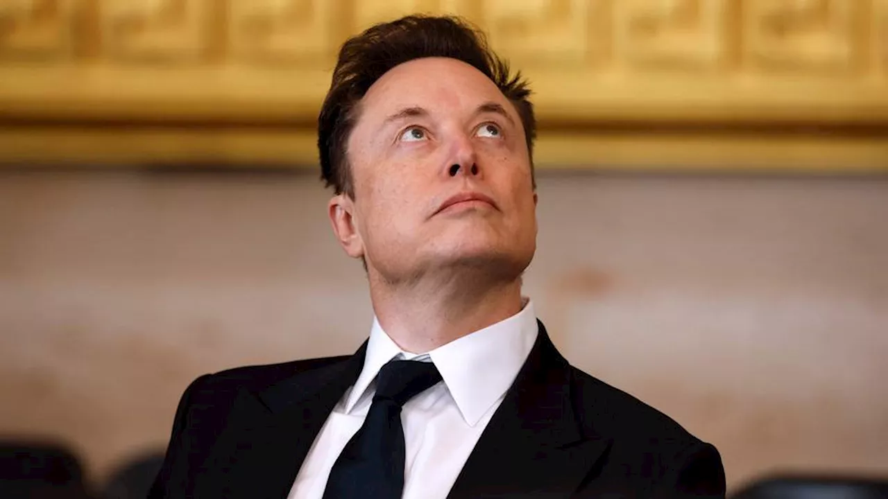 Federal Judge Temporarily Blocks Musk's DOGE from Accessing Treasury Payment System