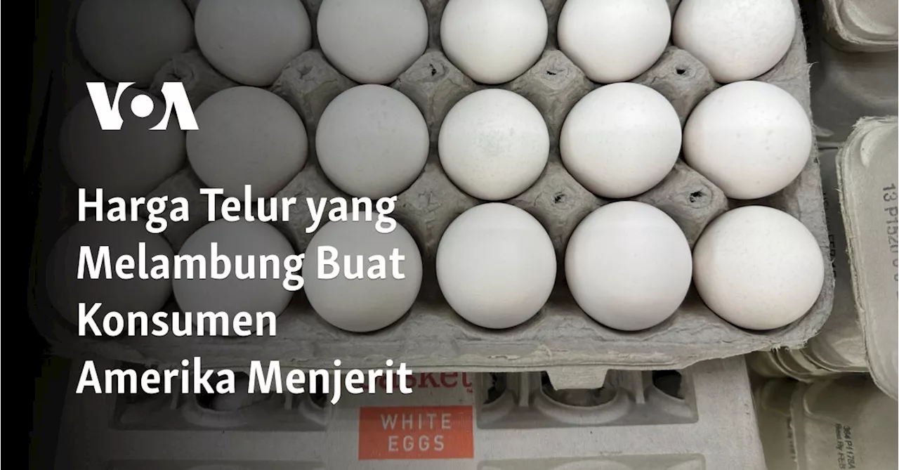 Wabah Flu Burung Mempengaruhi Harga Telur di Amerika Serikat