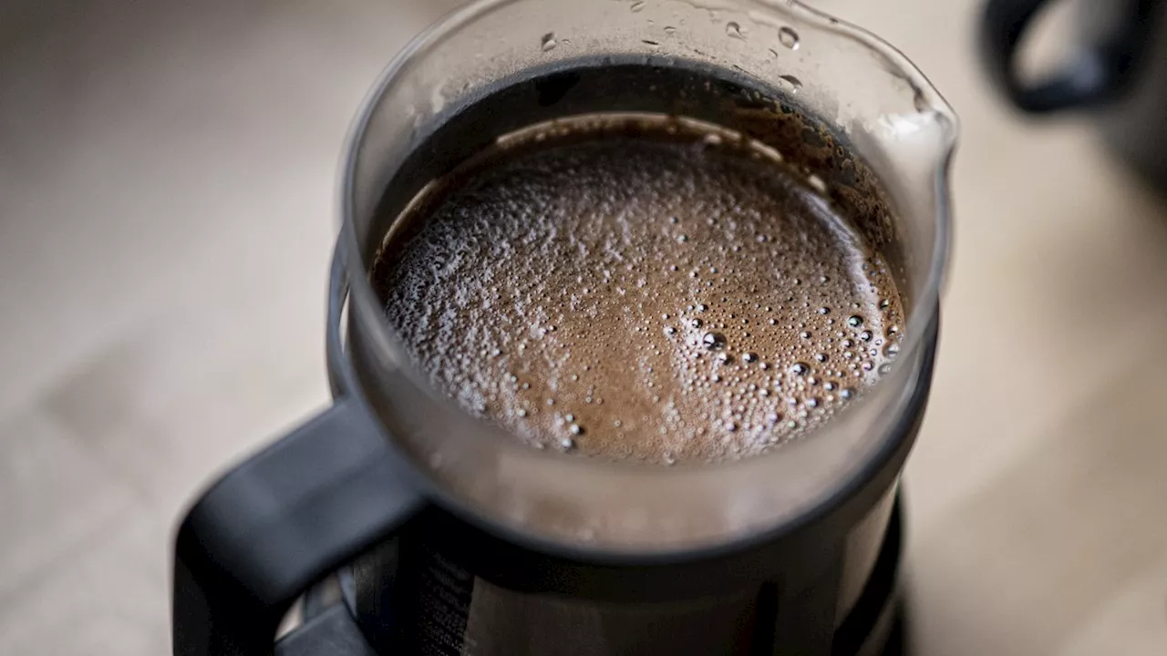 Pilz-Kaffee: Trendgetränk mit fragwürdigen Gesundheitsvorteilen