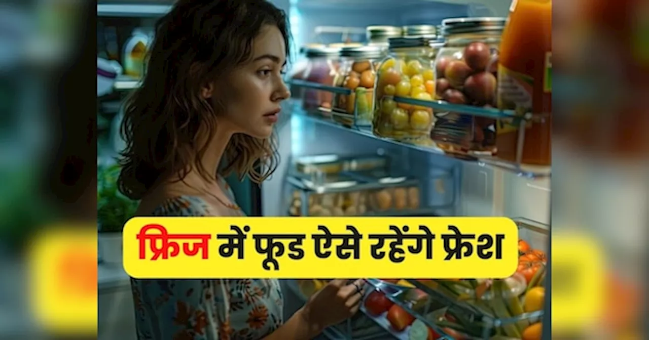 फ्रिज में लंबे वक्त तक खाना ताजा कैसे रखें? इन 5 टिप्स से दूर रहेगा फंगस