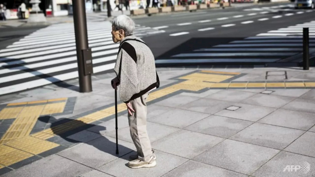 Japan's Aging Population: A '2025 Problem' and the Rise of Elderly Care
