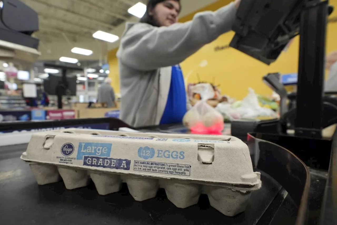 Are egg producers inflating prices during the bird flu outbreak to boost profits?