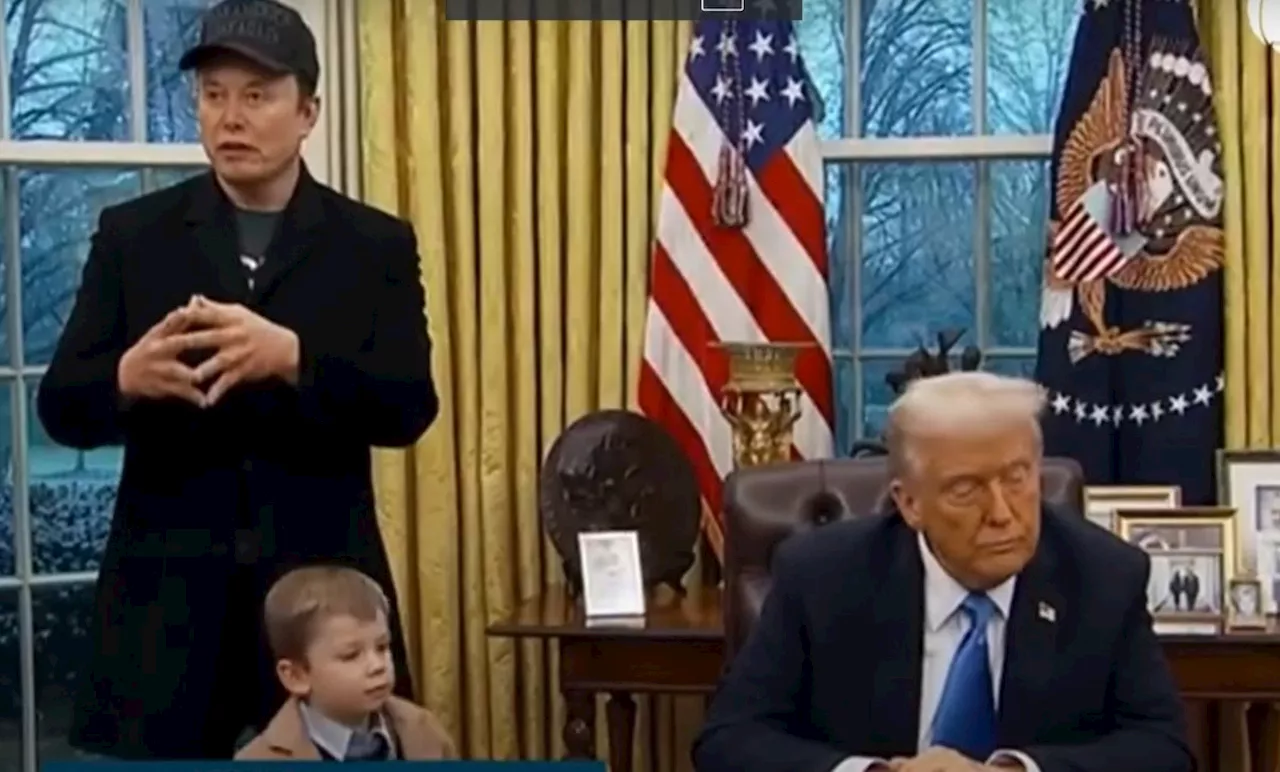 Elon Musk Torna-se Pai de 14 Crianças