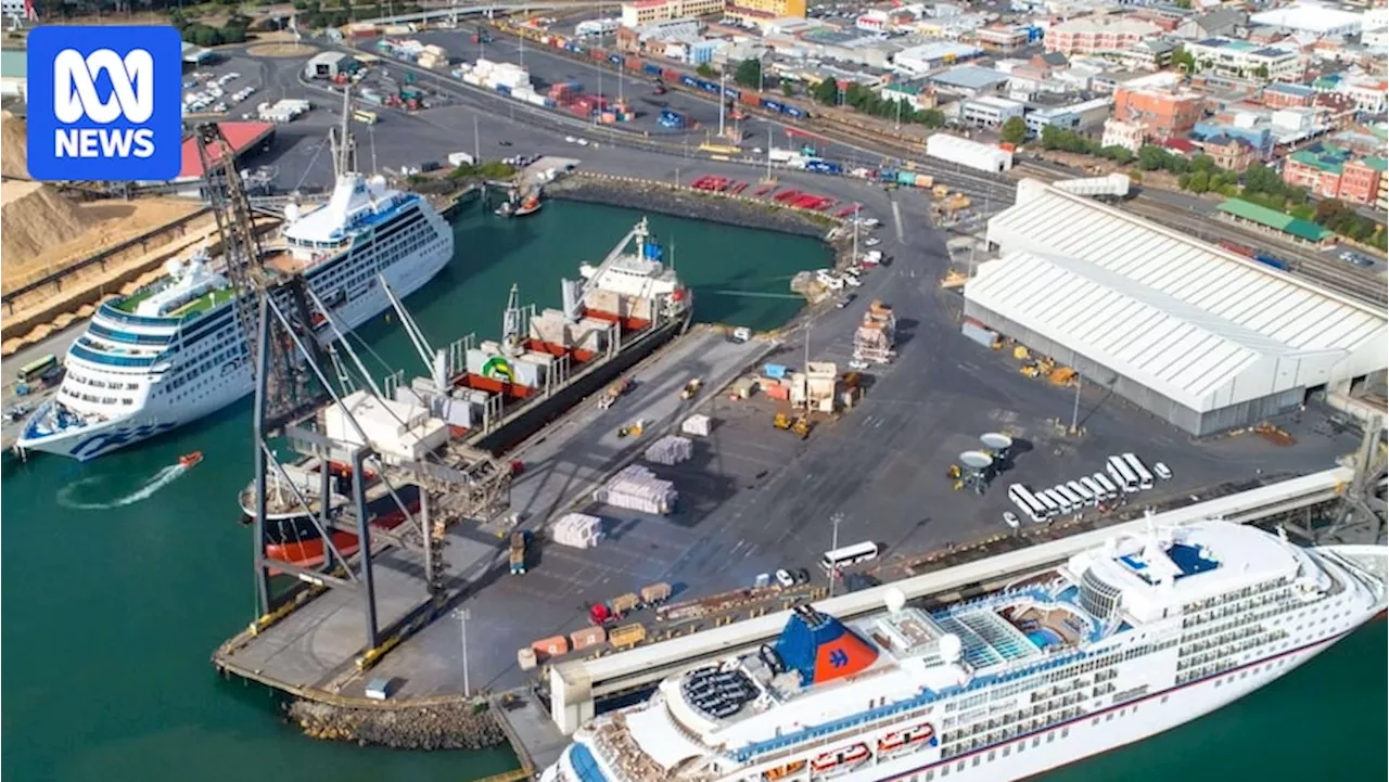Tasmania has avoided privatisations in the past, but the concept has a long and complex history on the mainland