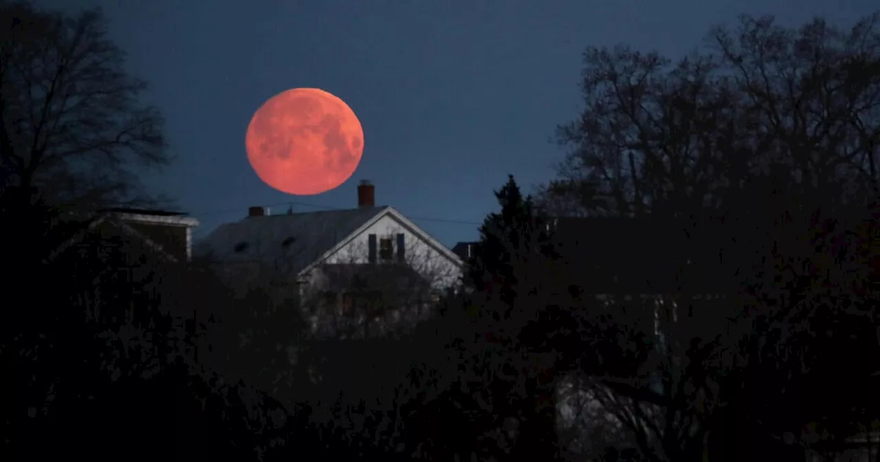 What to know about March's full 'Blood Worm Moon,' a total lunar eclipse
