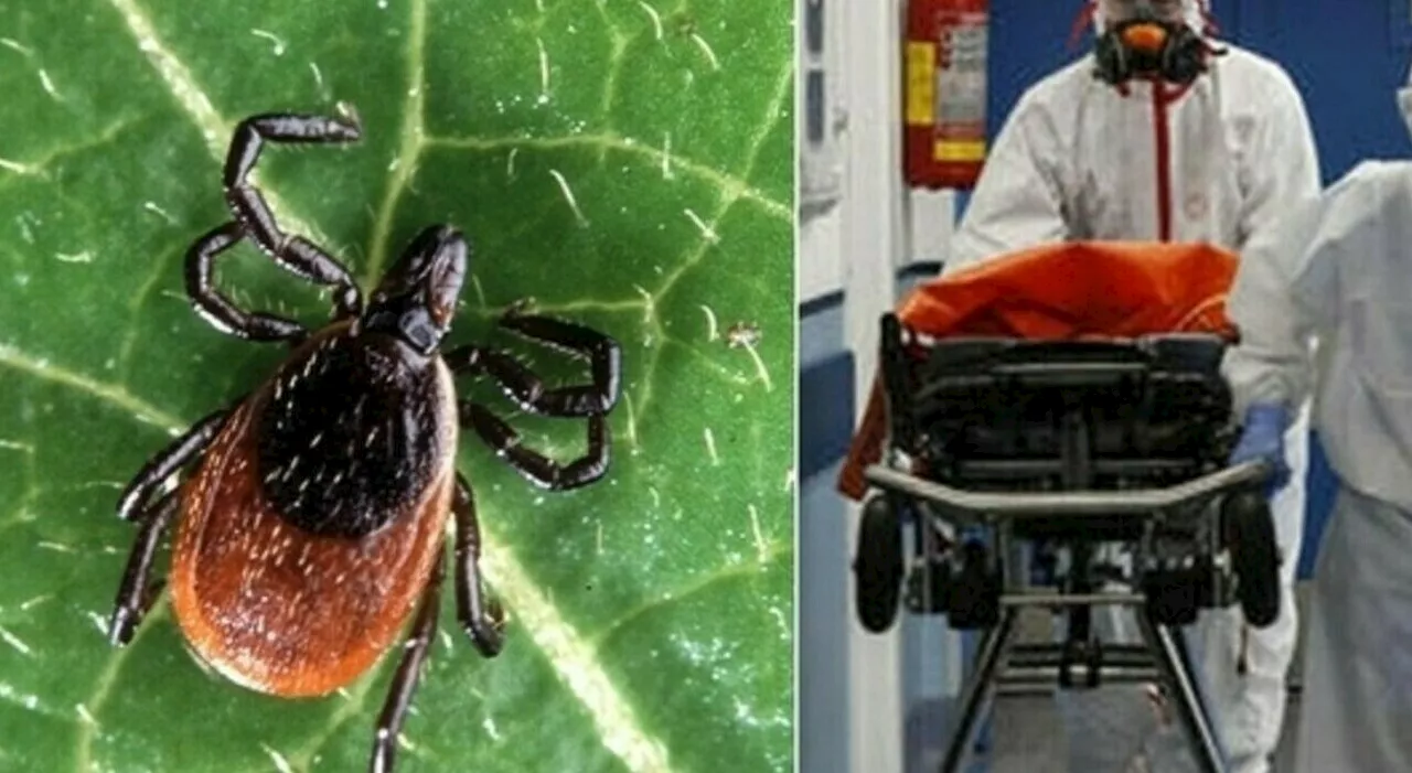 Muore a 13 anni dopo il morso di una zecca: il ricovero al Gaslini dopo essere stato “rimbalzato” da 4 ospedal
