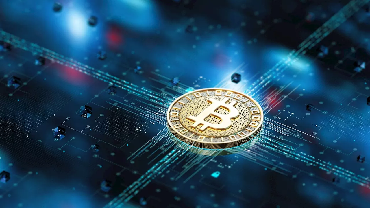 Bitcoins : Aurélie a investi 115.000 euros et a tout perdu !