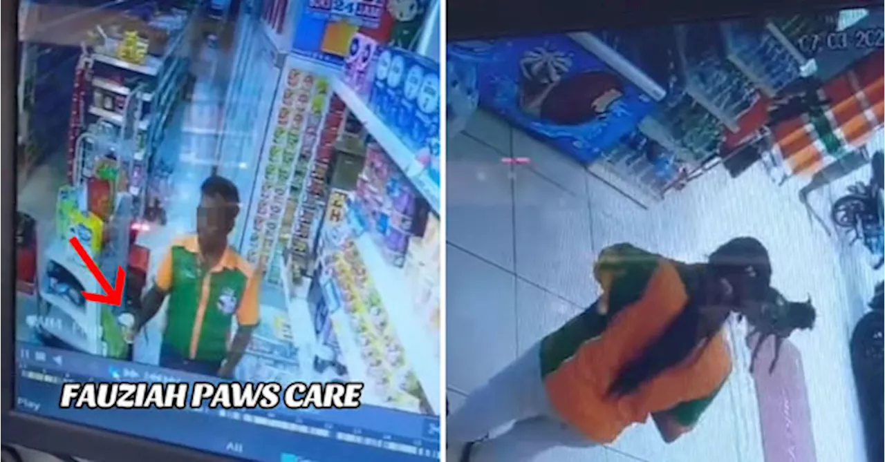 KK Mart Fires Employee For Pouring Hot Water On Stray Dog In Perak