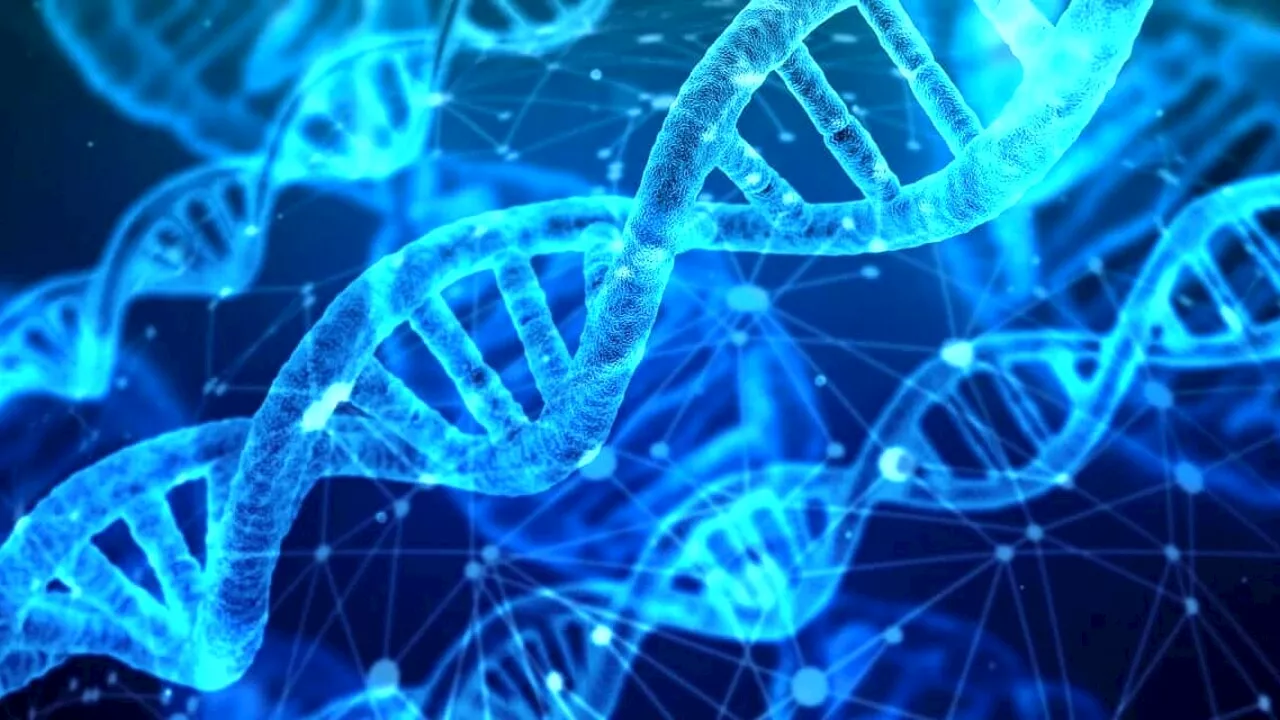 Ecco perché le donne vivono più a lungo degli uomini
