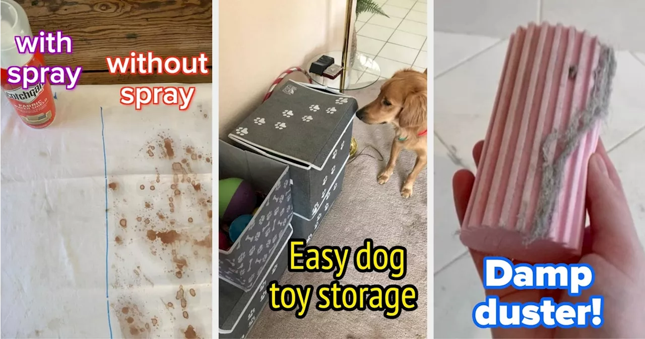34 Products To Keep Your Home Clean And Tidy All Spring