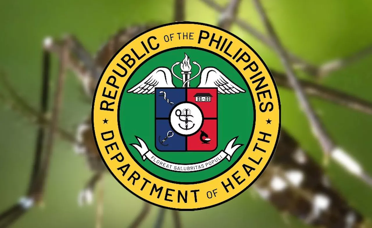 DOH urges continued mosquito control to prevent rise in dengue cases during rainy season