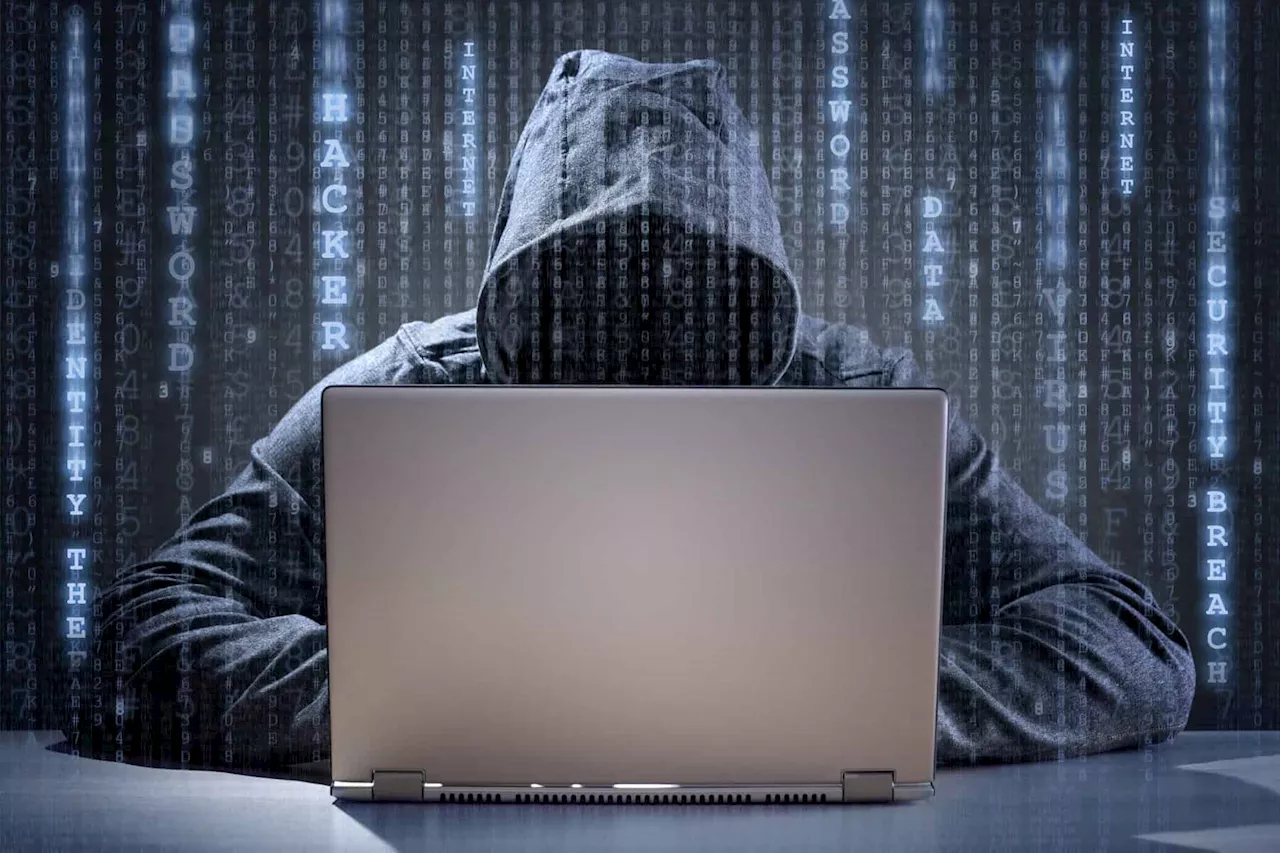 Pam Golding hacked: Real estate giant investigating data leak