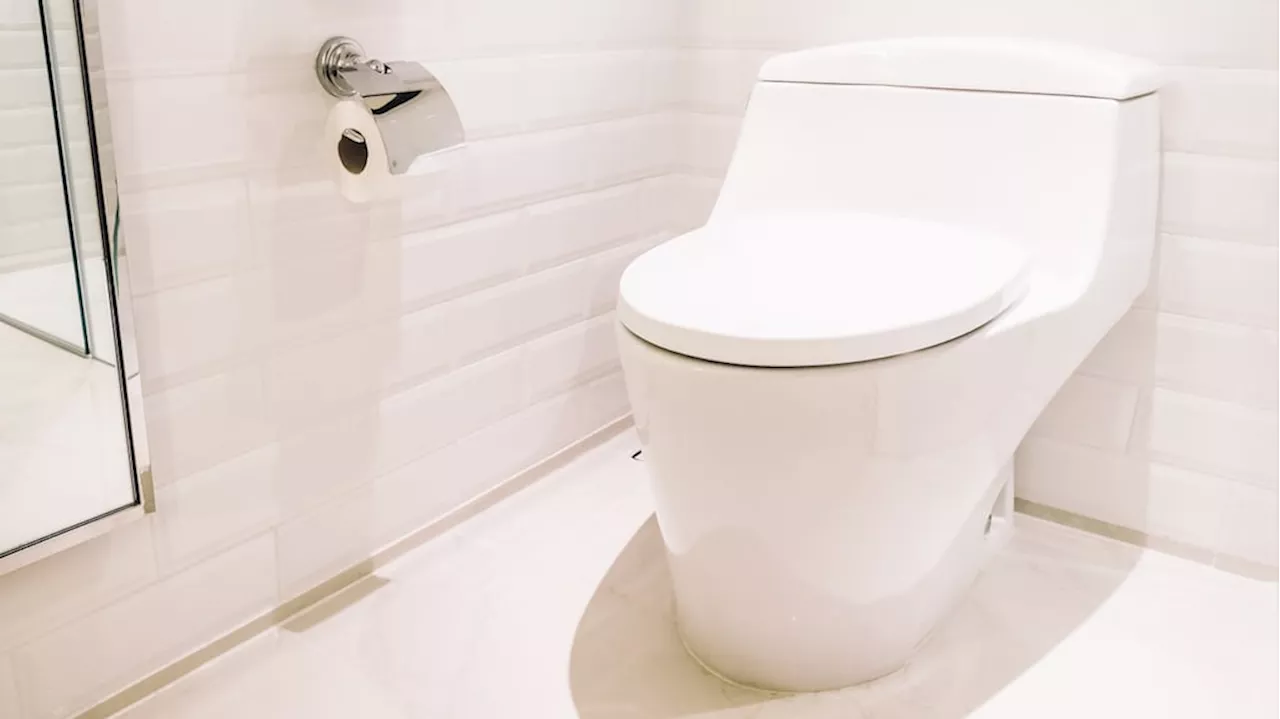 Fin del inodoro tradicional: el nuevo invento japonés que se limpia solo y elimina todos los olores del baño