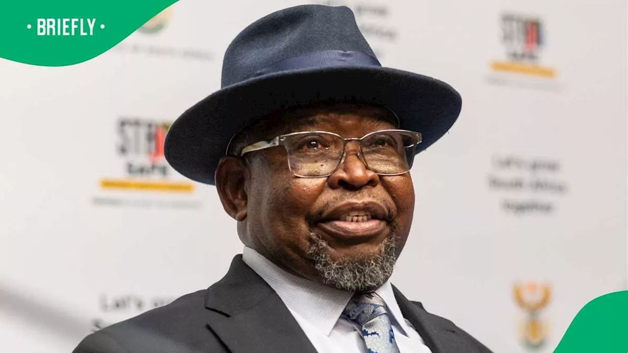 Civil Groups Blast Enoch Godongwana for SRD Grant Comment, Claim Minister Is Neglecting the Poor
