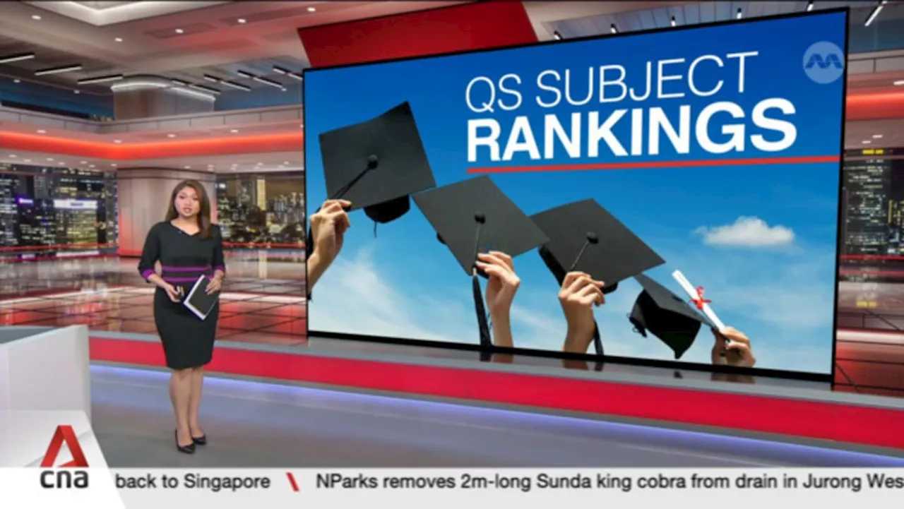 30% of Singapore university courses among world's top 10 in their fields: QS rankings