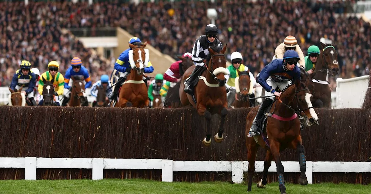 Cheltenham day 2 tips: Ruby Walsh's selections after punter wins €65,000 bet
