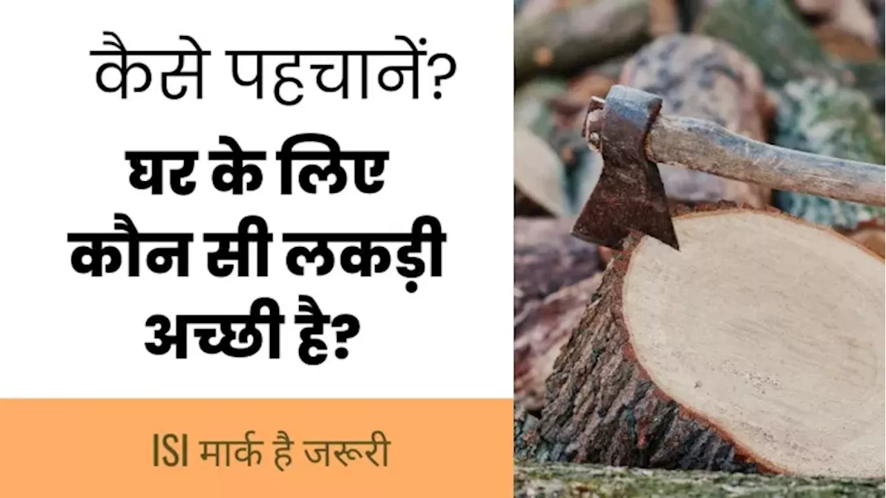 काम की खबर: Plywood या लकड़ी खरीदनी हो तो अब ये चीज जरूर देखना, केंद्र सरकार का नया ऑर्डर हो गया लागू