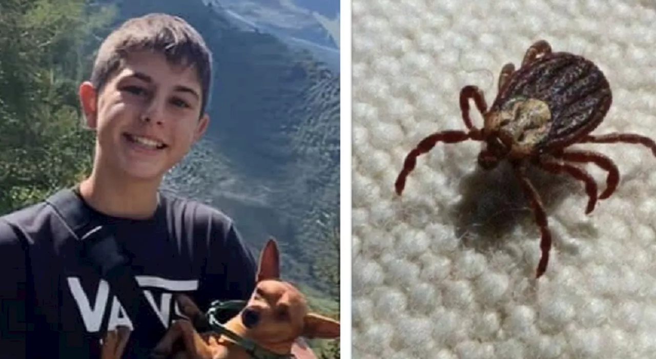 Lorenzo Bertocchi, chi era il ragazzino morto a 13 anni. «Morso da una zecca e un altro insetto». La verità da
