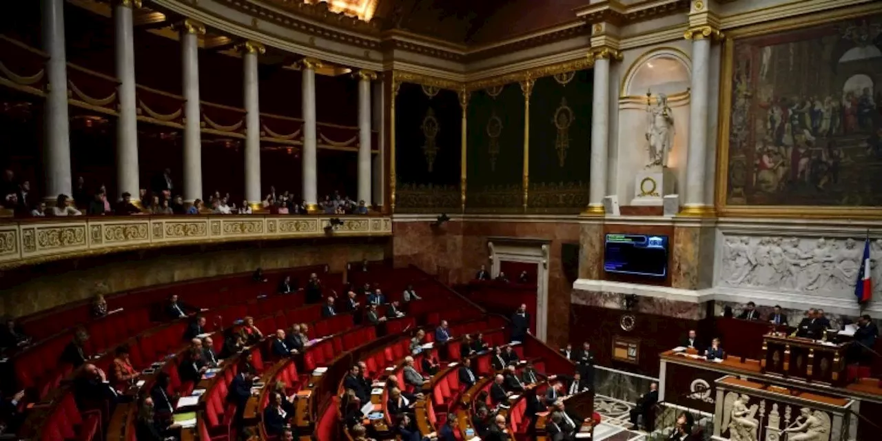 Frankreichs Parlament schafft Abstimmung per Aufstehen ab