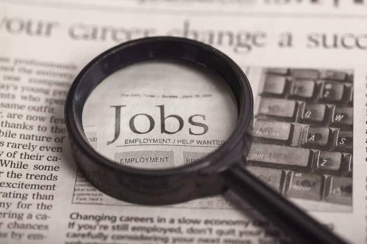 World Bank’s austerity push deepens South Africa’s unemployment crisis