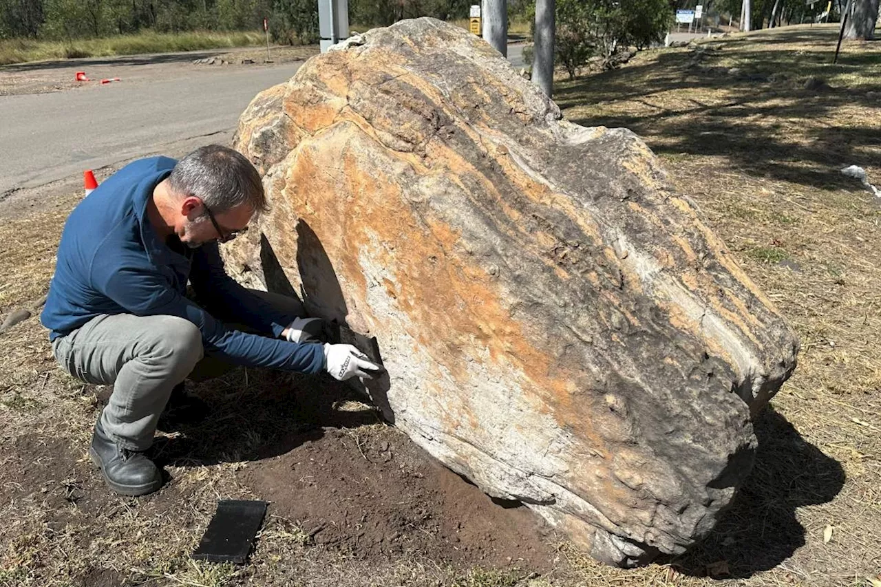 Dinosaur footprints found at Aussie school