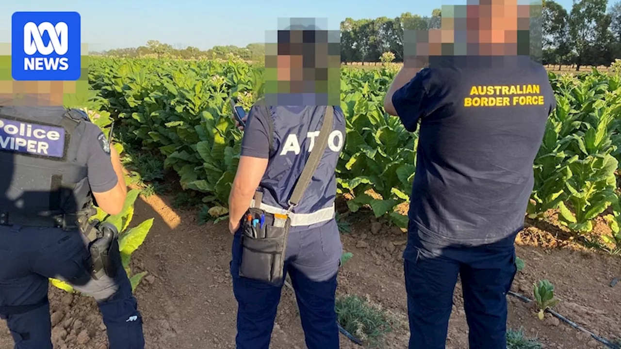 Authorities seize $35m worth of illegal tobacco in northern Victoria