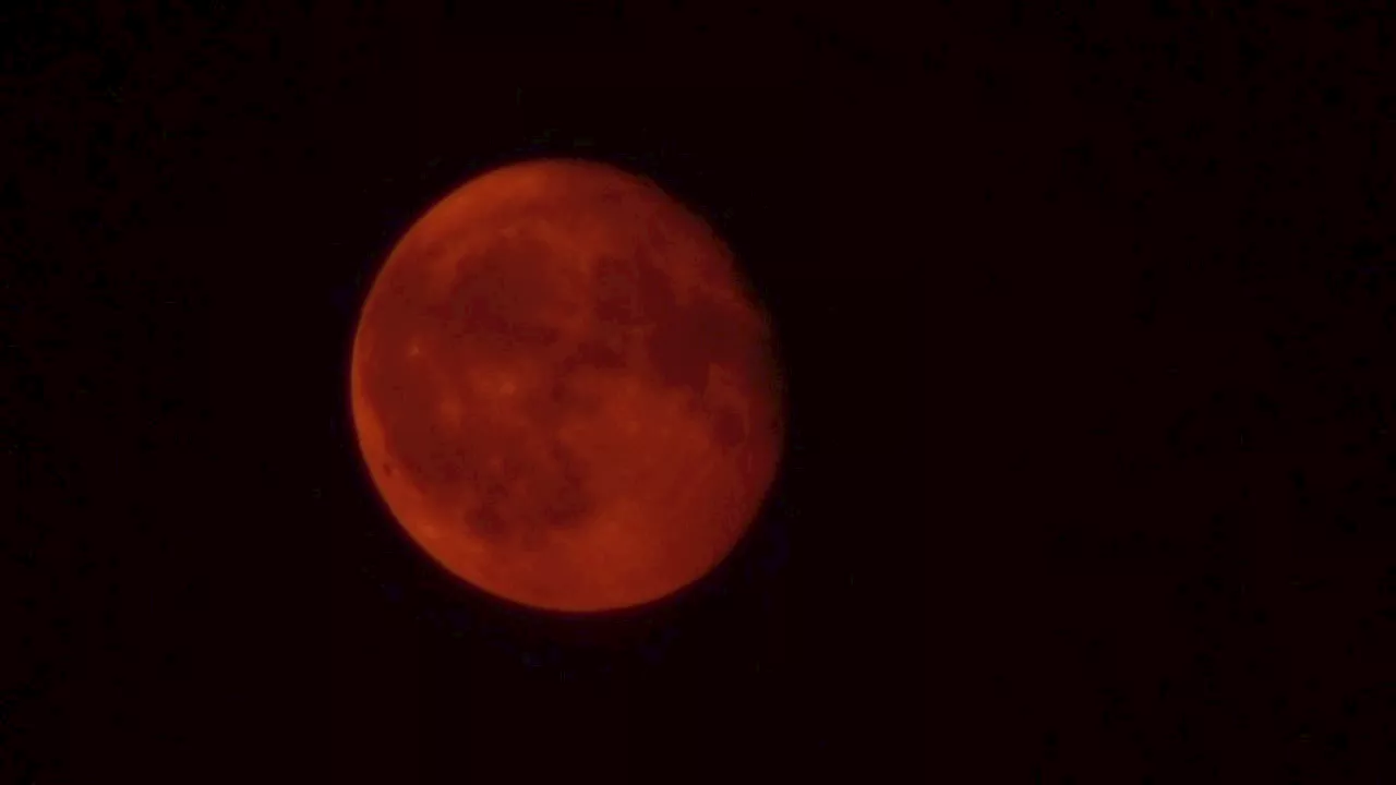 Total Lunar Eclipse 2025: Will the forecast allow us to see the eclipse?