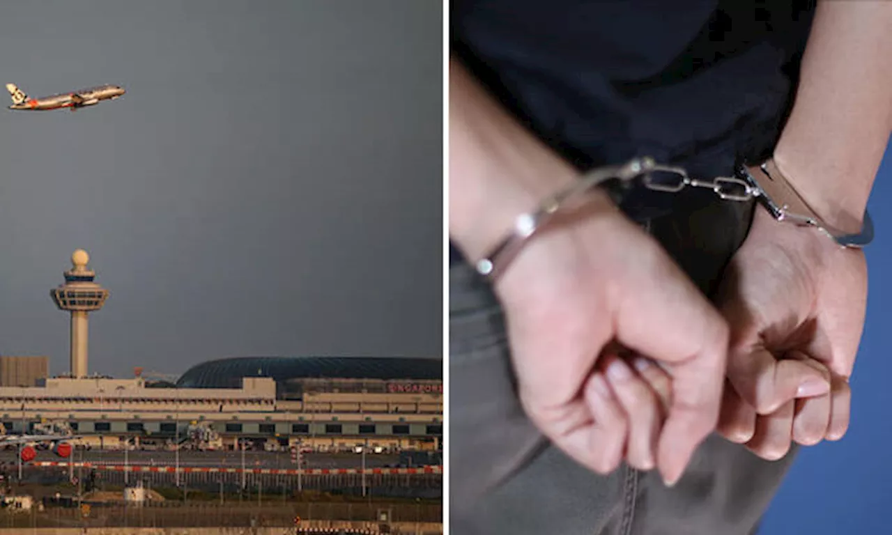 Tailgater used his PHV to block Changi Airport shuttle bus, kicked and threw phone at it