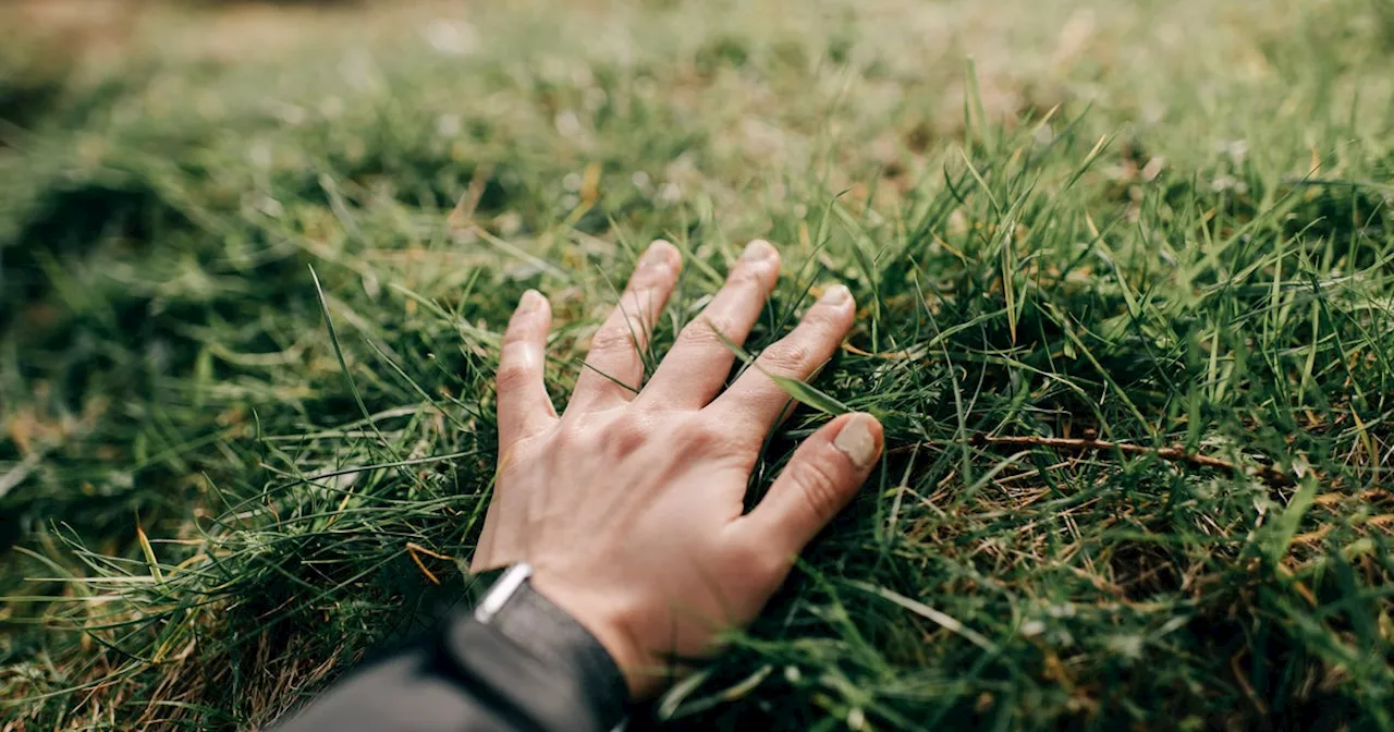 This New Productivity App Makes You Literally Touch Grass To Use Your Phone