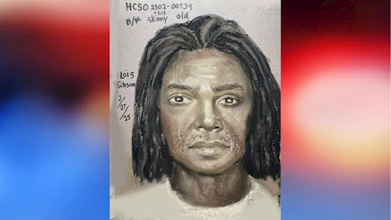 Recognize him? Law enforcement release sketch of suspect accused of kidnapping, sexually assaulting 14-year-old girl