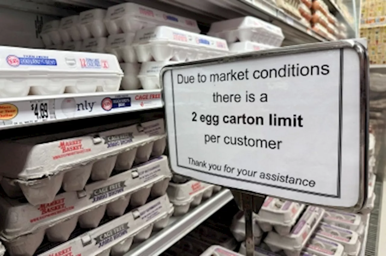 ‘How many eggs can you send?’ US asks countries to help lower soaring prices