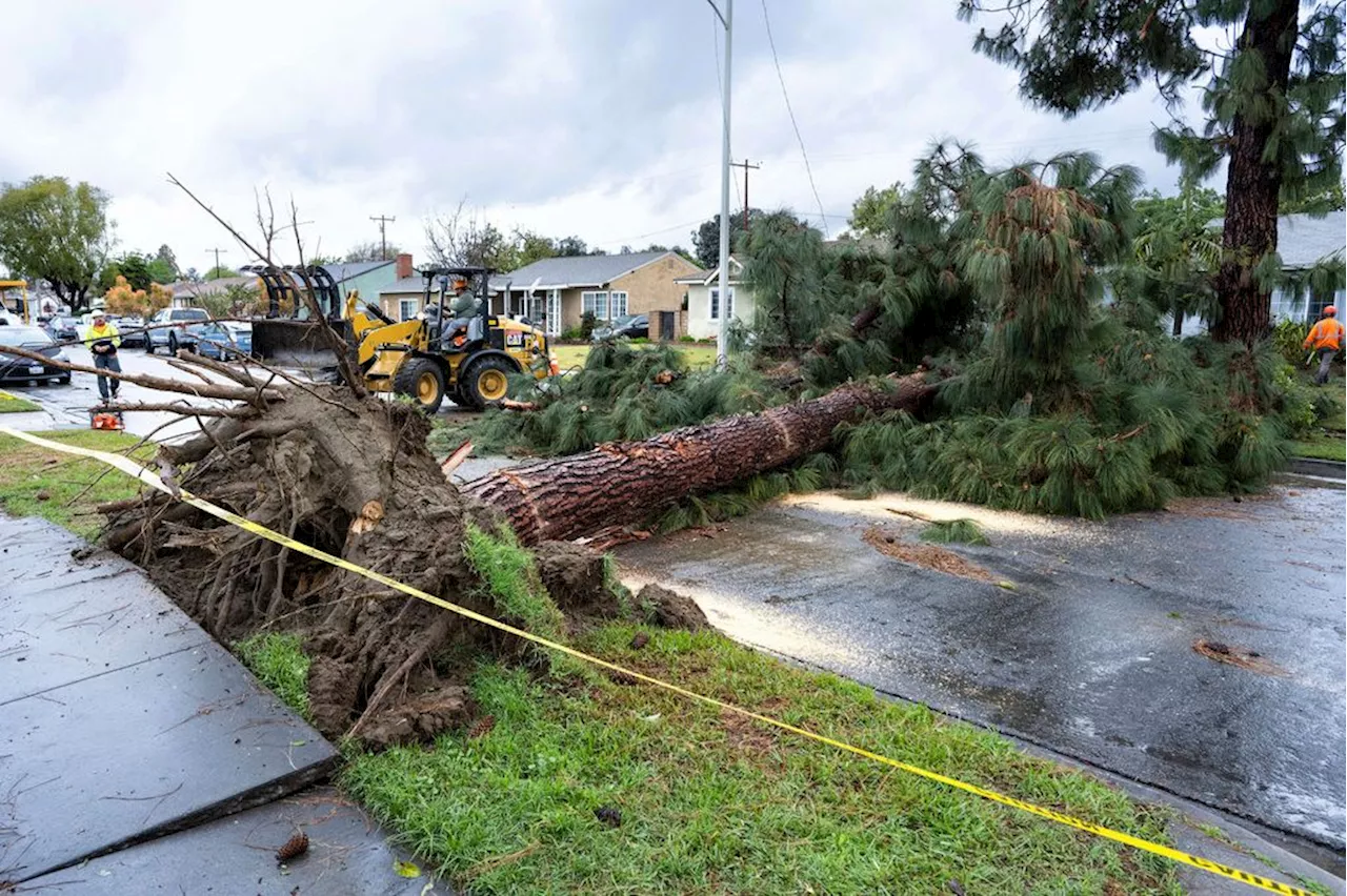 Big March storm fans wildfires and flips trucks as forecasters fear weekend tornado outbreak