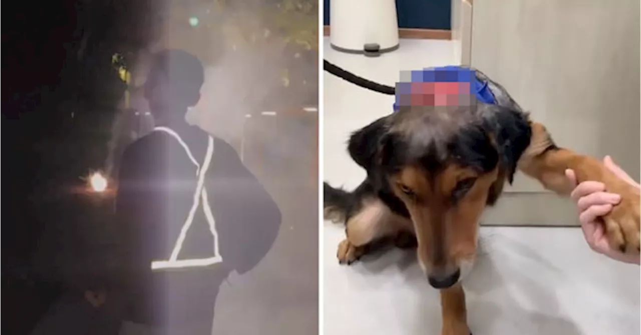 IIUM Student Union Accused Of Animal Cruelty For Throwing Firecrackers At Stray Dogs