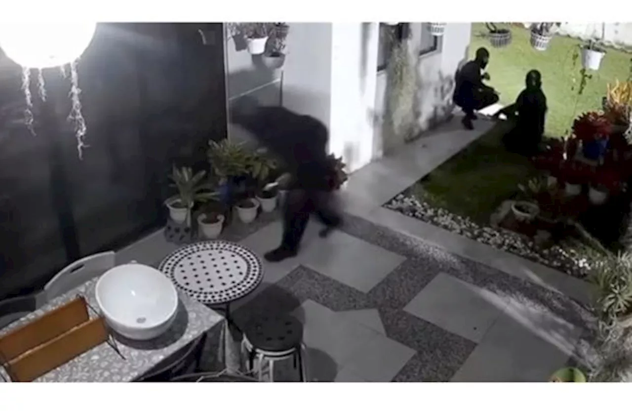 Video of robbers breaking into a home before they were shot dead is real, says cops
