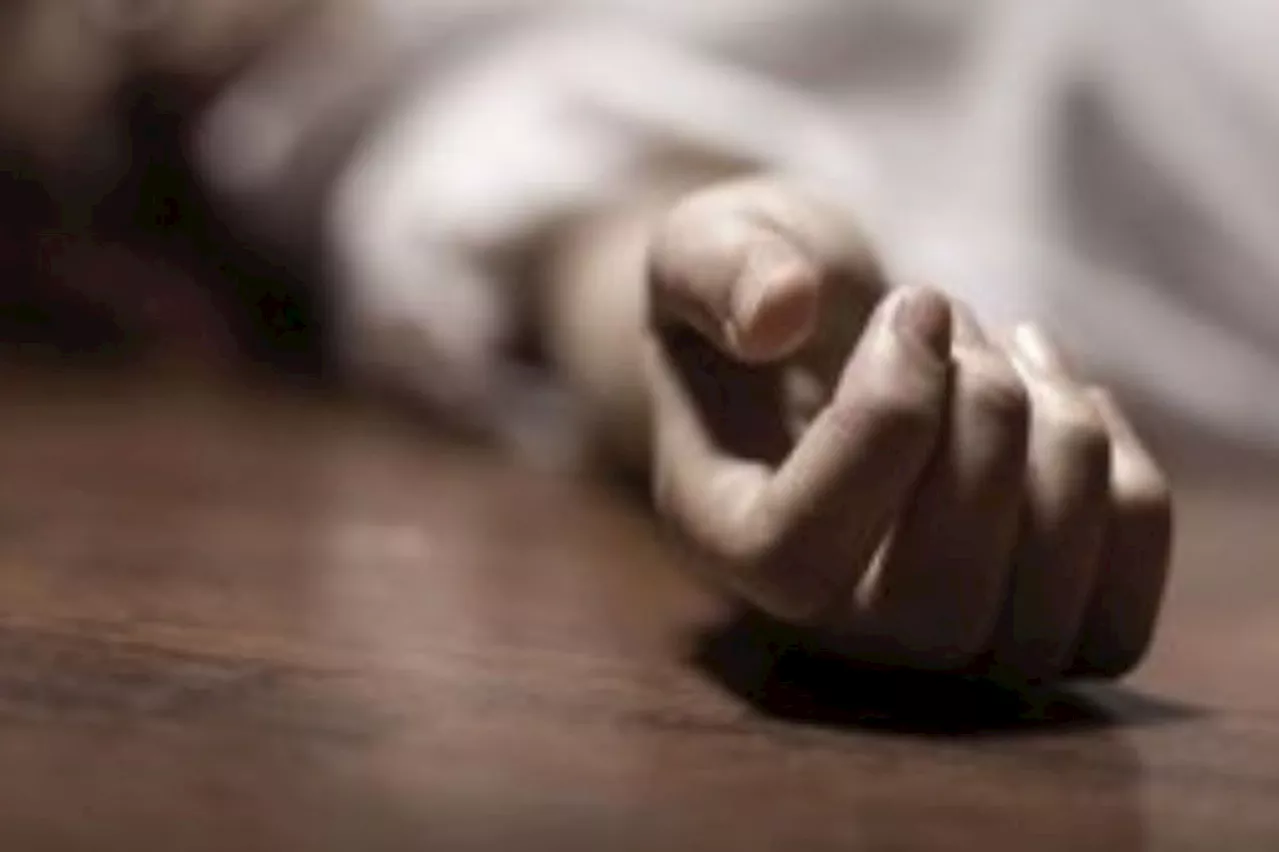 Worker dies in 12-metre fall from factory roof during repairs
