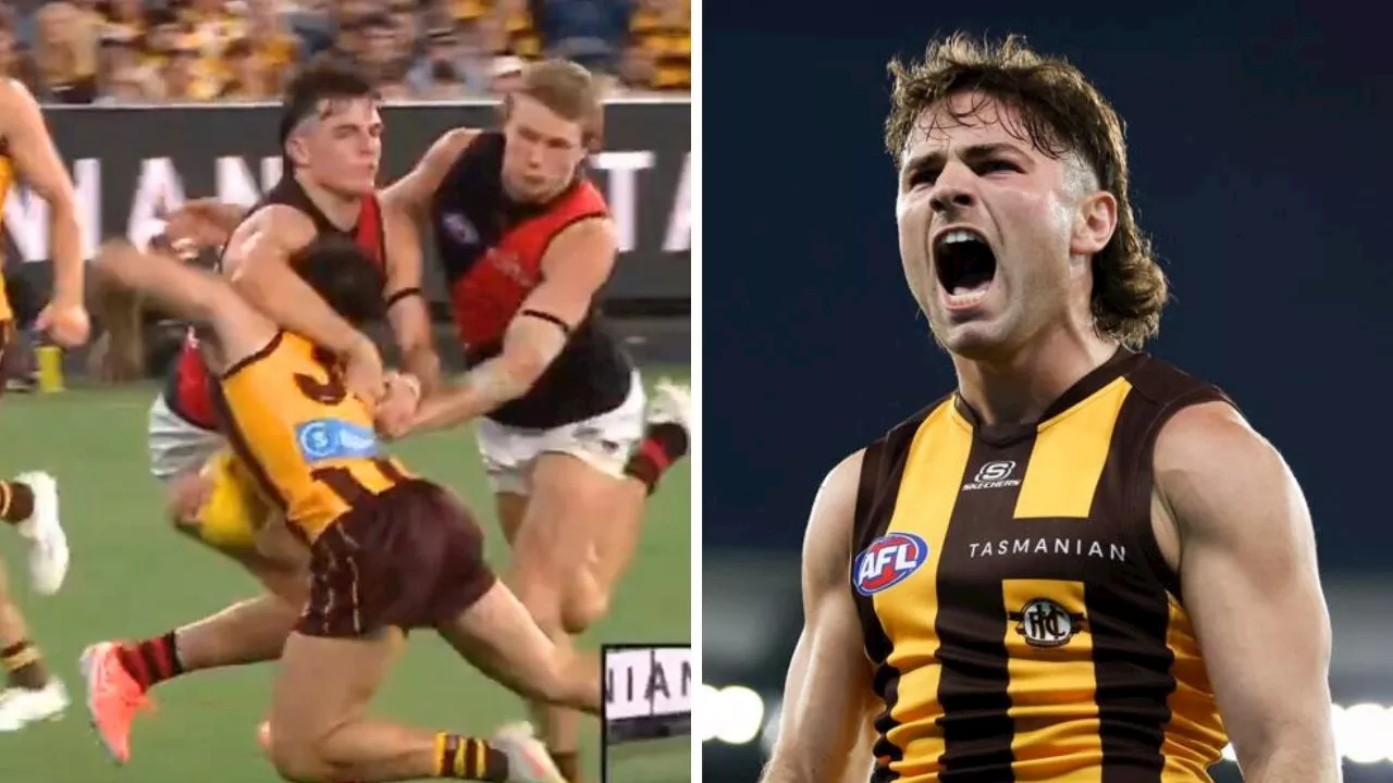 ‘Bit stiff’: Debate sparks AGAIN over livewire Hawk in call that left ‘everybody’ stunned