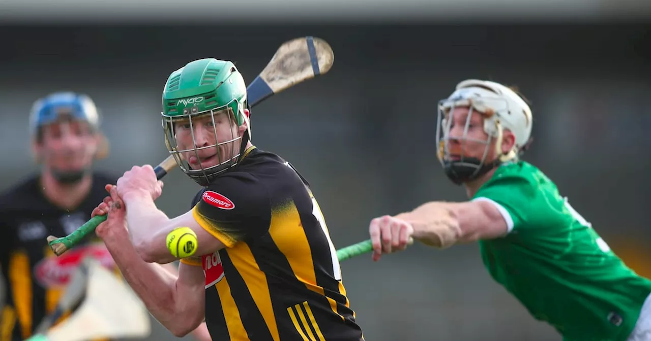 Kilkenny’s comfortable victory over Limerick clears up picture in hurling’s top flight